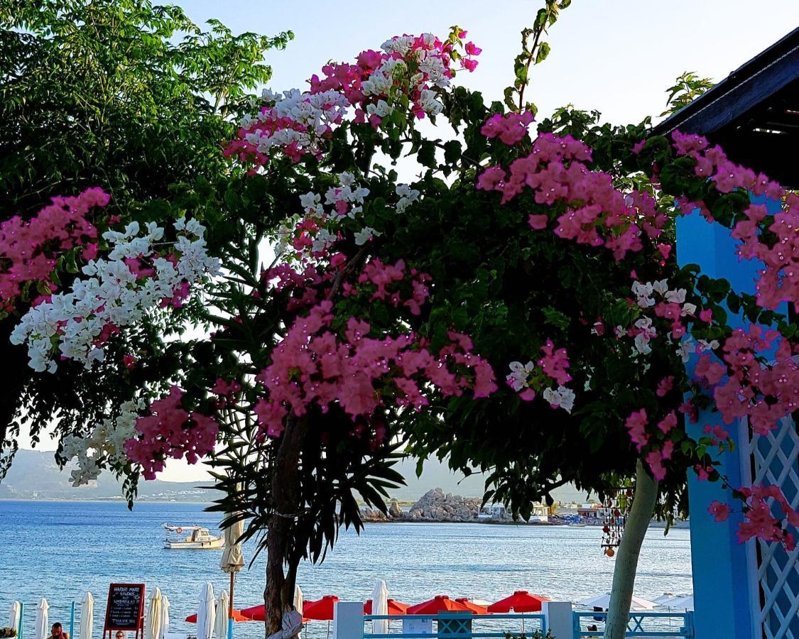 Haraki Mare Studios Beach Front Zewnętrze zdjęcie